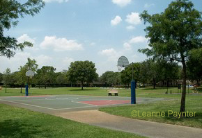 Shoot some hoops!