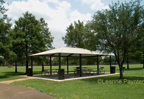 Pack a picnic lunch!